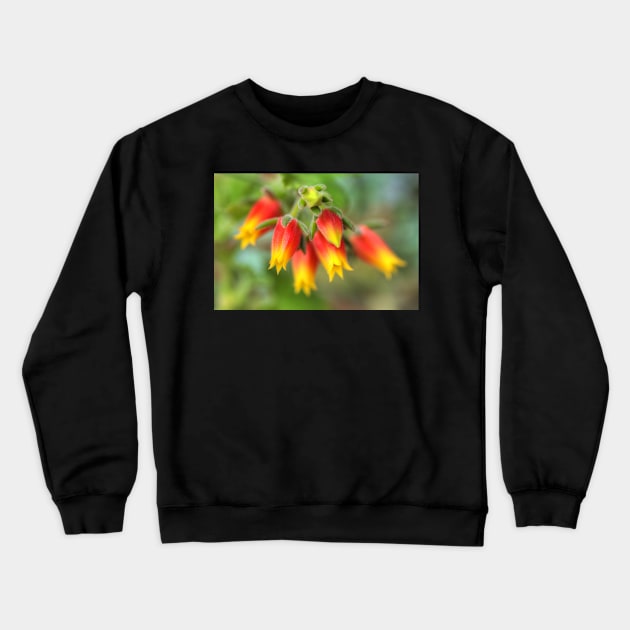 A Blooming Echeveria Crewneck Sweatshirt by Michaelm43